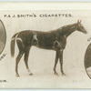 Sefton.