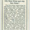 Do you know why bees sting and why they hum?