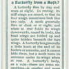 Do you know a butterfly from a moth?