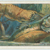 Do you know that some fishes walk on land?