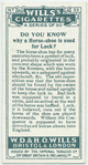 Do you know why a horse-shoe is used for luck?