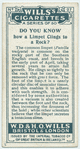 Do you know how a limpet clings to a rock?