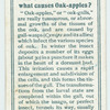 Do you know what causes Oak-apples?