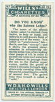 Do you know why the salmon leaps?