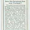 Do you know how the Sargasso Sea was formed?