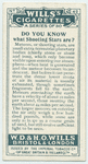 Do you know what shooting stars are?