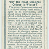 Do you know why the stoat changes colour in winter?