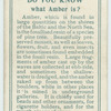 Do you know what amber is?
