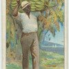 Do you know where bananas come from?