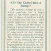 Do you know why the camel has a hump?