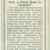 Do you know how a coral reef is formed?