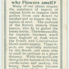 Do you know why flowers smell?