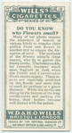 Do you know why flowers smell?