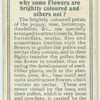 Do you know why some flowers are brightly coloured and others not?