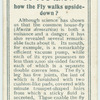 Do you know how the fly walks upside-down?
