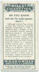 Do you know how the fly walks upside-down?