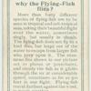 Do you know why the flying-fish flies?