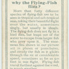 Do you know why the flying-fish flies?