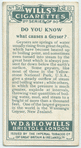 Do you know what causes a geyser?
