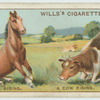 Do you know why the horse straightens its fore-legs first when rising, and the cow its hind-legs?