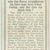 Do you know why the horse straightens its fore-legs first when rising, and the cow its hind-legs?