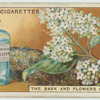 Do you know what quinine is?