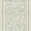 Do you know why shells vary in shape?