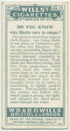 Do you know why shells vary in shape?