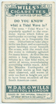 Do you know what a tidal wave is?