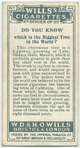 Do you know which is the biggest tree in the world?