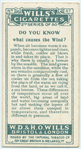 Do you know what causes the wind?