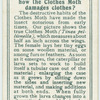 Do you know how the clothes moth damages clothes?
