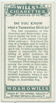 Do you know what a Tasmanian devil is?