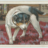 Do you know why a dog turns round before lying down?