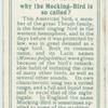 Do you know why the mocking-bird is so called?