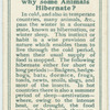 Do you know why some animals hibernate?