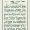 Do you know why birds' beaks vary in shape?