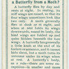 Do you know a butterfly from a moth?