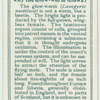 Do you know why the glow-worm glows?