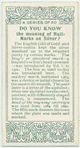 Do you know the meaning of hallmarks on silver?