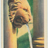Why does the water in a drinking-fountain usually pour out of a lion's mouth?