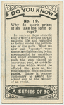 Why do sports prizes often take the shape of cups?