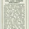 Do you know why some animals hibernate?