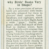 Do you know why birds' beaks vary in shape?