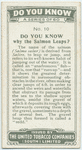 Do you know why the salmon leaps?