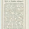 Do you know how a snake stings?