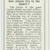 Do you know how plants live in the desert?