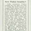 Do you know how fishes breathe?