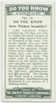 Do you know how fishes breathe?