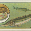Do you know what caviar is?